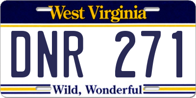 WV license plate DNR271