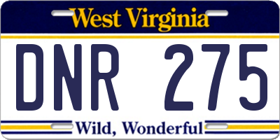 WV license plate DNR275