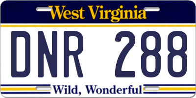 WV license plate DNR288