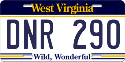 WV license plate DNR290
