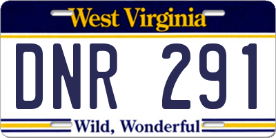 WV license plate DNR291
