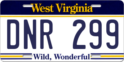 WV license plate DNR299