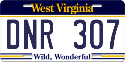 WV license plate DNR307