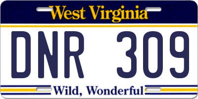 WV license plate DNR309