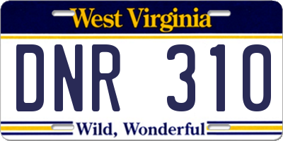 WV license plate DNR310