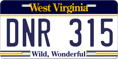 WV license plate DNR315