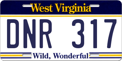 WV license plate DNR317