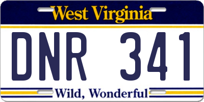 WV license plate DNR341