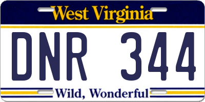 WV license plate DNR344