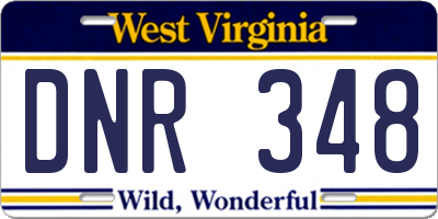 WV license plate DNR348