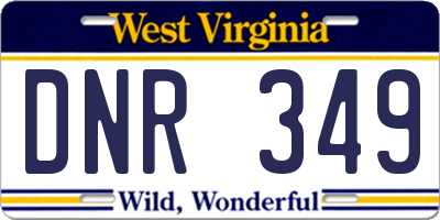 WV license plate DNR349