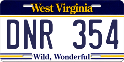 WV license plate DNR354