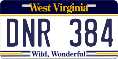 WV license plate DNR384