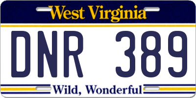 WV license plate DNR389