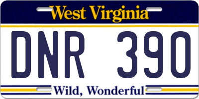 WV license plate DNR390