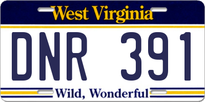 WV license plate DNR391