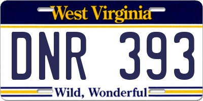 WV license plate DNR393