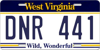 WV license plate DNR441
