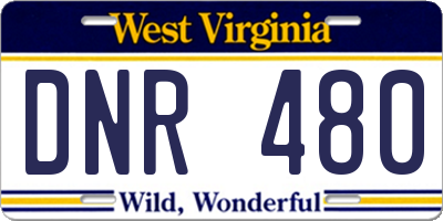 WV license plate DNR480
