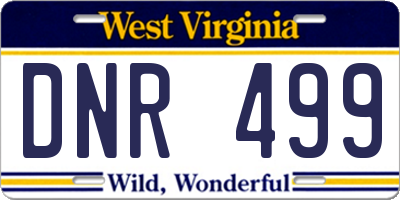 WV license plate DNR499
