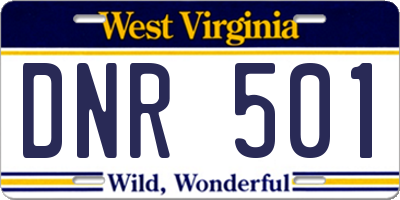 WV license plate DNR501
