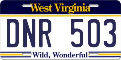 WV license plate DNR503