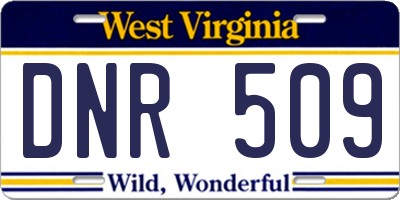 WV license plate DNR509