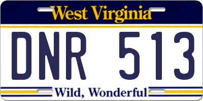 WV license plate DNR513