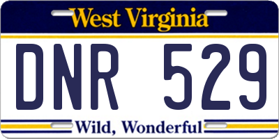 WV license plate DNR529