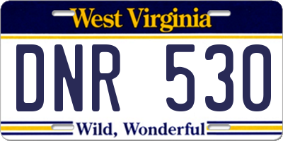 WV license plate DNR530
