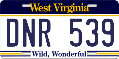 WV license plate DNR539
