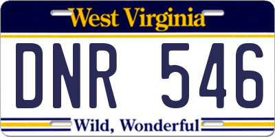 WV license plate DNR546