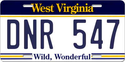 WV license plate DNR547