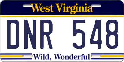 WV license plate DNR548