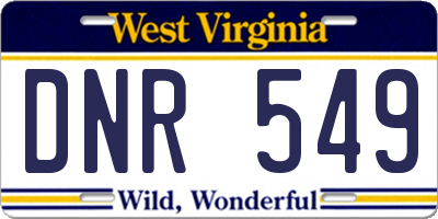 WV license plate DNR549