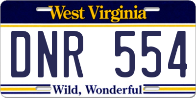 WV license plate DNR554