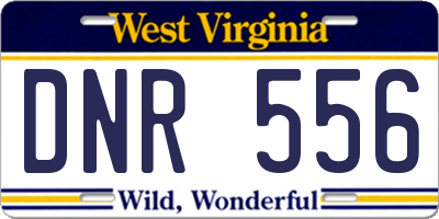 WV license plate DNR556