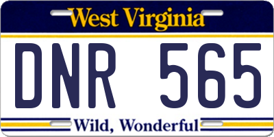 WV license plate DNR565