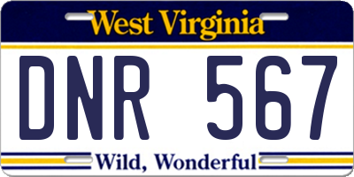 WV license plate DNR567