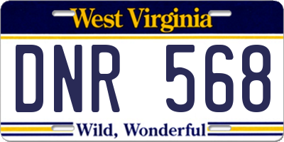 WV license plate DNR568