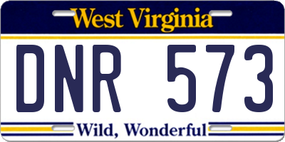 WV license plate DNR573