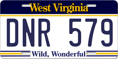 WV license plate DNR579