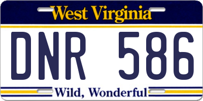 WV license plate DNR586