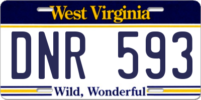 WV license plate DNR593