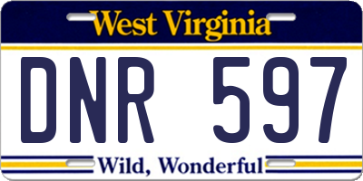 WV license plate DNR597
