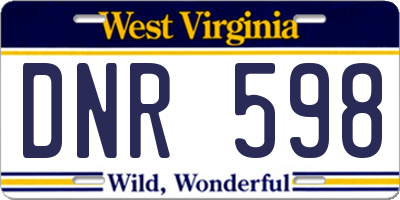 WV license plate DNR598
