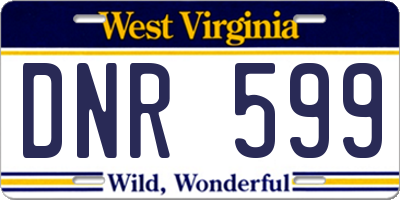 WV license plate DNR599