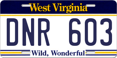 WV license plate DNR603