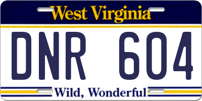 WV license plate DNR604
