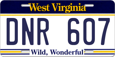 WV license plate DNR607